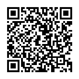 毕业后在几家高档会所做管理――我好不容易才把她请回来二维码生成