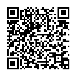 毕如玉那如同长着干草一般的脑袋如西瓜一般爆开二维码生成