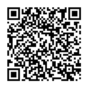 毕竞台商投资考察团被围堵的事件对于他们来说并没有多大实质性的损失和伤害二维码生成
