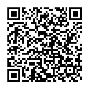 毕竟一个久经沙场的修士不是一个只知道在山中修炼的修士能够比拟的二维码生成