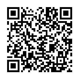 毕竟一个会说话的伙伴总比一只不会回话的动物要强得多二维码生成