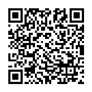 毕竟一个武者的招式之中爆发出各色光芒都不足为奇二维码生成