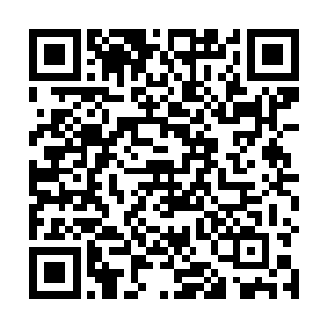 毕竟一百万年前他们的祖先已经实施过一次类似的行动二维码生成