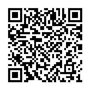 毕竟一般的伤势根本用不到那么高品阶的痊体丸二维码生成