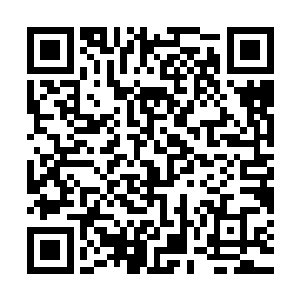毕竟一路上还有一些吞天鬼帝级别的鬼正在外围搬运竹子和石块二维码生成