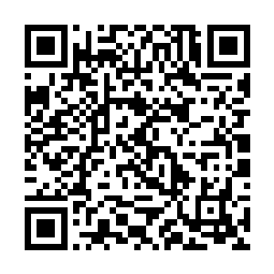 毕竟不是每个人类都能够拥有雷欢喜这样神奇能力的二维码生成