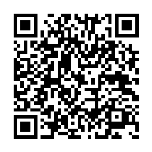 毕竟不是每个门派都会在王庭开启的当天就进入二维码生成