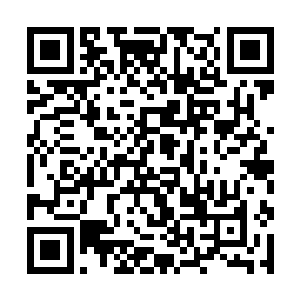 毕竟不管是荣亲王和火凤仙子现在都算得上一方人物二维码生成