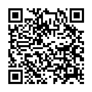 毕竟世人都知道那母子二人是齐奕宁最宠爱的妃子和皇子二维码生成