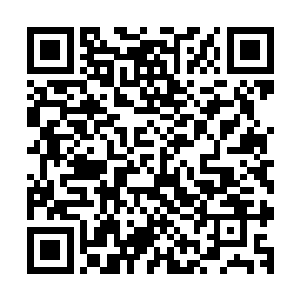 毕竟东方浩然是整个东方世家之中没有将它们当作下人的少爷二维码生成