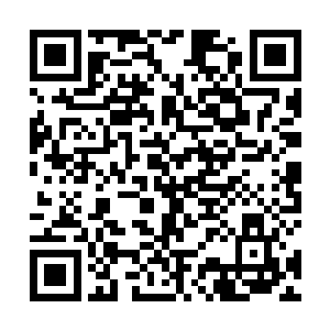 毕竟两个人的修为也都是距离顶级神后期只有一步之遥二维码生成