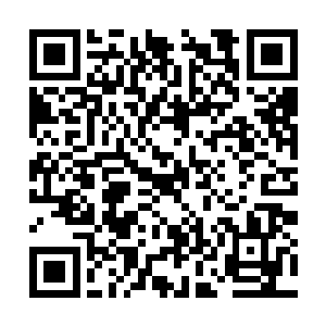 毕竟两个人都是为了给洛师兄寻药这个共同的目标二维码生成