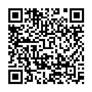 毕竟之前天都宇为了她的能力可是对她客气的很二维码生成