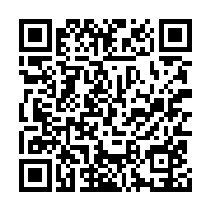 毕竟之前早就说好了这个宝箱归海里的蟹族所有二维码生成