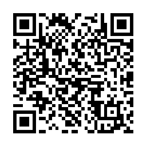 毕竟也很少有那些卫冕冠军会连小组赛都冲不出去二维码生成