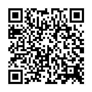 毕竟五色龙和金属龙来自于多元宇宙的另外一个双子位面二维码生成