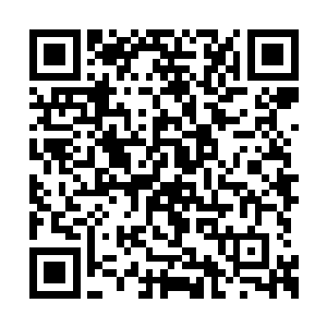 毕竟从一开始龙傲天就没有听说过百花派的事情二维码生成