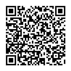 毕竟从来没有出过宗门自然也会觉得这些书中的东西未必就是真实存在的二维码生成