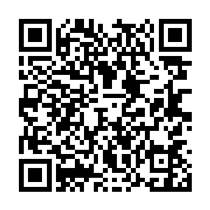 毕竟从白云剑宗那儿得到的剑歌虫要让韩珊珊安置二维码生成