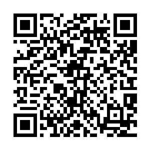 毕竟他们之前所期待的可是林母亲自动手示范给他们看的二维码生成