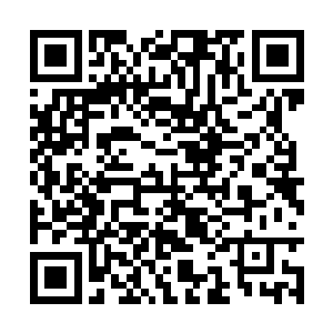 毕竟他们国内的民主进程也是他们自身主动推进的二维码生成