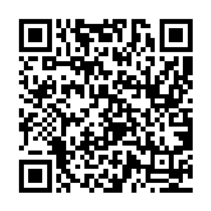 毕竟他们在这里等候这么久了也无人发现他们的存在二维码生成