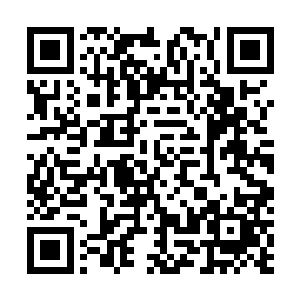 毕竟他们有很多可是修炼了成千上万年之久的超级强者啊二维码生成