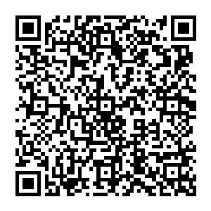 毕竟他们木家的历代家主谁也没有想到这个秘境的真正秘密竟然就在他们手中的那块令牌之上二维码生成