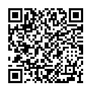毕竟他们现在不可能大张旗鼓的全力进攻百花派二维码生成