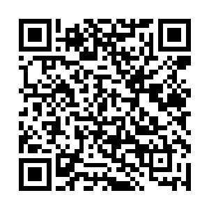 毕竟他们的职责是带领船员避开海上一切恐怖的东西二维码生成