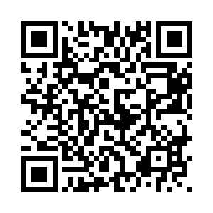 毕竟他可是亲眼见到黛鸢的本色的二维码生成