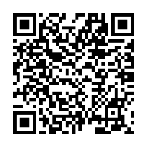 毕竟他家好像也是警察世家这类姑且算是中上层的家庭二维码生成