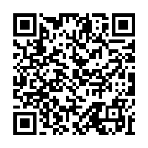 毕竟他还从来都没有听说过如此恐怖的造化秘境二维码生成