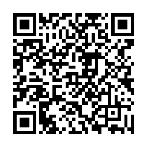 毕竟他还是不相信这个女孩会因为那些钱再次欺骗自己二维码生成