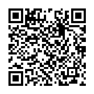 毕竟仙兽一族一般主要就是修炼身体的强度和韧性二维码生成