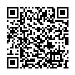 毕竟以往都是天刑长老或者天法长老等长老领着二维码生成