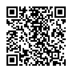 毕竟任谁坐在这大半天无所事事等待弟子战斗结果都会无聊二维码生成