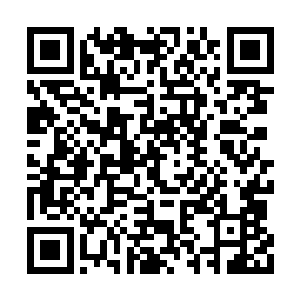 毕竟体修的修炼显然要比一般的修炼要困难不少二维码生成