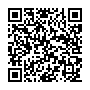 毕竟作为大师兄还要向师弟学习还是很难为情呢二维码生成