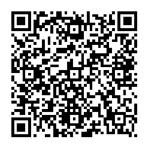 毕竟像他这样超出普通人范畴的能力拥有者对普通人类的发展来说实在是太恐怖了二维码生成