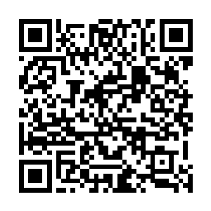 毕竟先前就像是将所有的信息和能量都打包收入自己身体二维码生成
