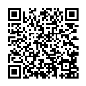 毕竟先前这五人轻易射杀了二十几个他们的人呢二维码生成