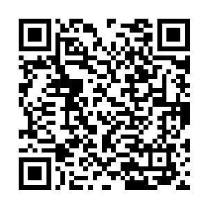 毕竟全部人口才六十四个人的部落连部族都称不上二维码生成