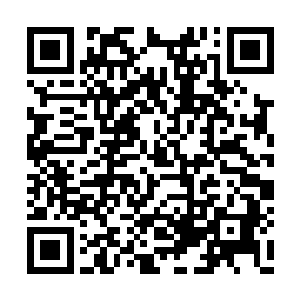 毕竟冬夜之中直接攀崖不是任何理智之人的选择二维码生成
