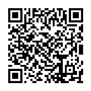 毕竟凭借那两只异种三头犬和他音杀之术的力量二维码生成