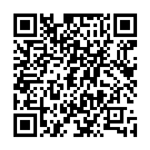 毕竟凯莉以前在玄天大陆的时候怎么说也是神兽级别的高手二维码生成