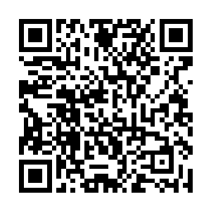 毕竟刚刚女娲的自爆可同样是波及到了这十二宫大阵二维码生成