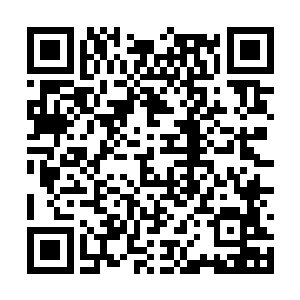 毕竟刚才牙签入肉的恐怖一幕让每个人都胆寒三分二维码生成