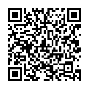 毕竟刚才的时候龙傲天表现出来的实力实在是太匪夷所思了二维码生成