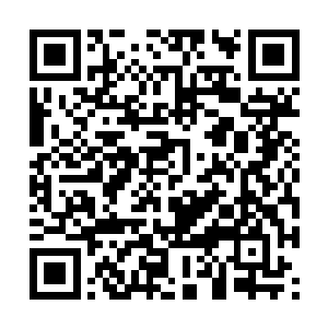 毕竟别的地方做我们这种小客栈的生意都没这边好二维码生成